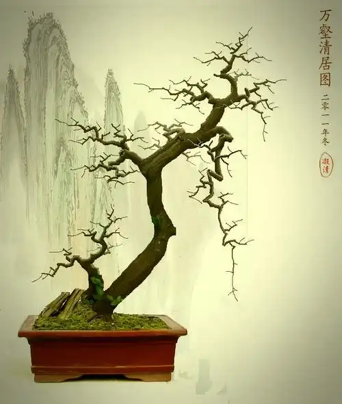 设计图 - 盆景造型构思 - 岭南盆景网 - powered by discuz!