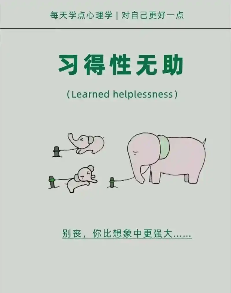 习得性无助是指人或动物动物不断受到挫折而在情绪,认知及行为等 - 抖