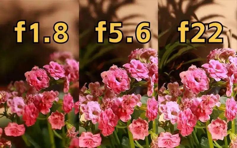 一分钟教你学会相机光圈教程!-无尽夏_ing-摄影教程-哔哩哔哩视频