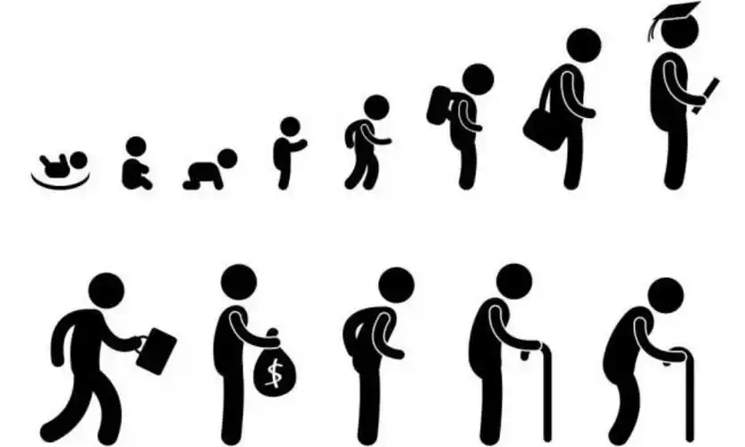 没错,人的一生,就在这张图里被播放了一次,每个人都是这样长大,变老的