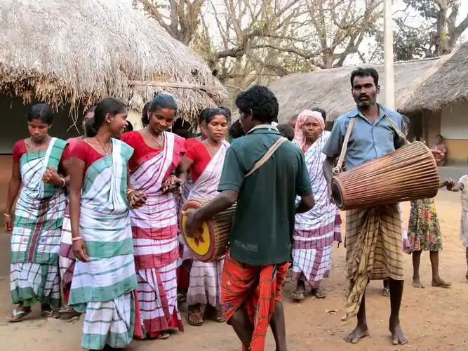 p>棕色人种,又称澳大利亚人种,是按照遗传和体质为人类分类所划分出