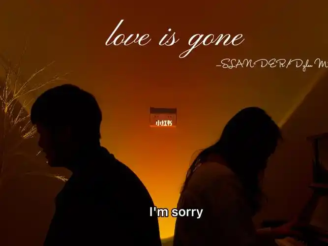 loveisgone总有那么多让人心痛的歌