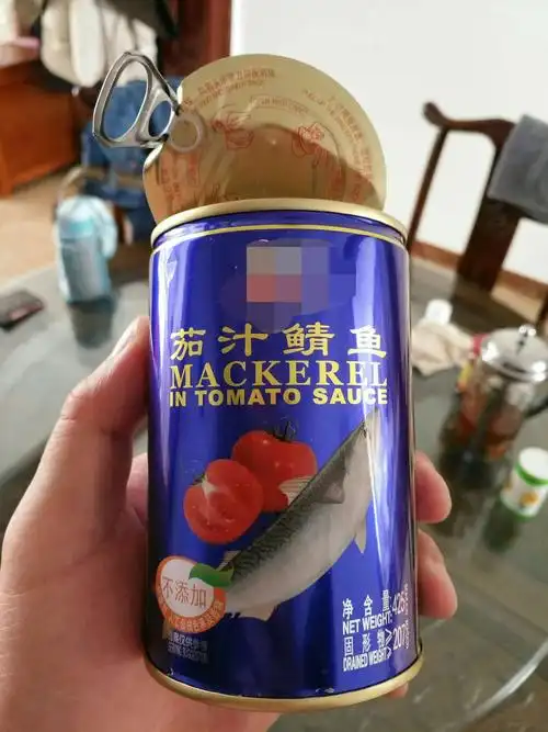《茄汁鱼罐头》