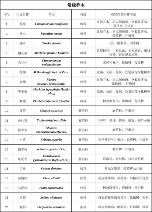 序号 1 2 3 4 5 6 7 8 9 10 11 12 13 14 15 16 17 18 19 20 中文名称