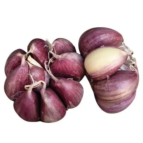 云南紫皮大蒜5斤|肉质脆嫩 蒜香浓郁 蒜瓣饱满【营养蔬菜】