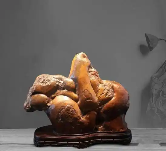 每日一石 | 来宾石胆石《任重道远》_足迹_梦想_cm