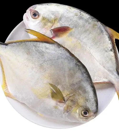 鲳鱼深海平鱼大金海鱼鲜活海海鲜冷冻鲳鱼