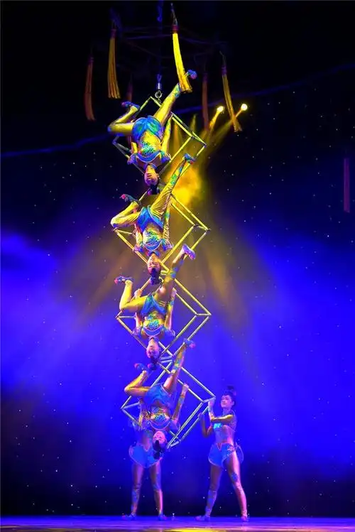 重庆专业马戏团表演哪家便宜「淮安市淮安区五朵金花杂技供应」