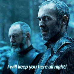 全面解析指挥官史坦尼斯·拜拉席恩(中)