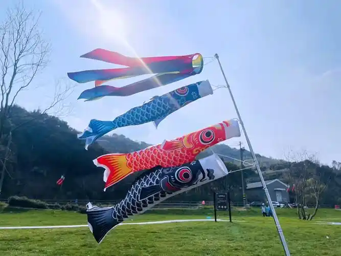 日式鲤鱼旗 鲤鱼旗流苏儿童玩具风帆饰品导游旗日式和风幡料理店装饰