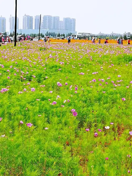 其它 美丽的沈北花海 写美篇花海是功能完备的综合性公园,位于沈北