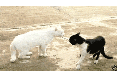 暴走漫画-最火爆的原创恶搞漫画制作分享网站,和王尼玛斗图吐槽!