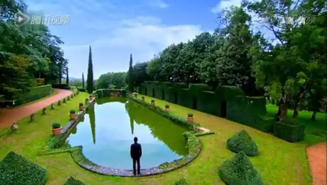 花非花雾非雾之灵花