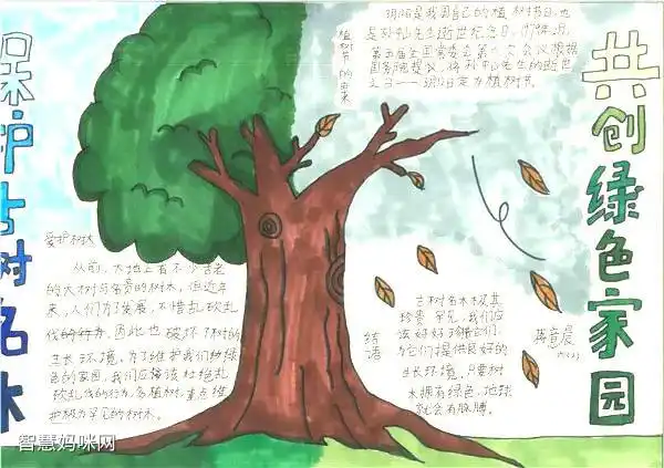"保护古树名木,呵护绿色家园"主题手抄报-图2