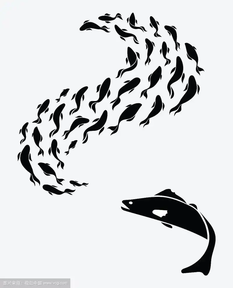 一群鱼的剪影