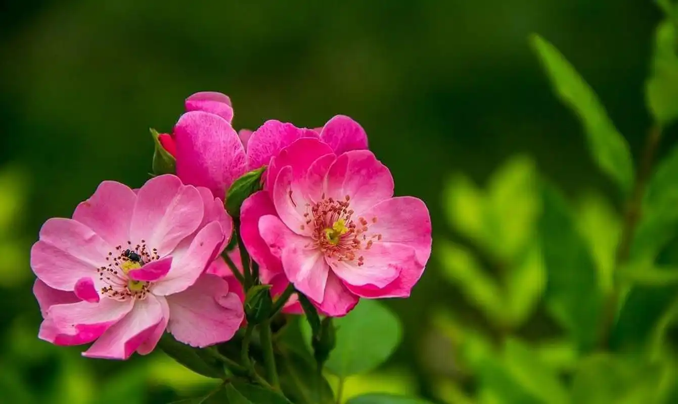 妻子不一定是最爱的,但一定是最适合他的,只要你没