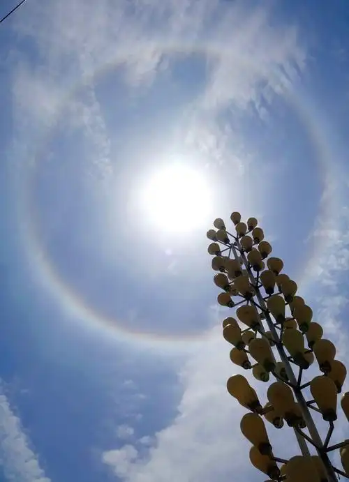 据了解,日晕,又叫圆虹,一种大气光学现象,是日光通过卷层云时,受到