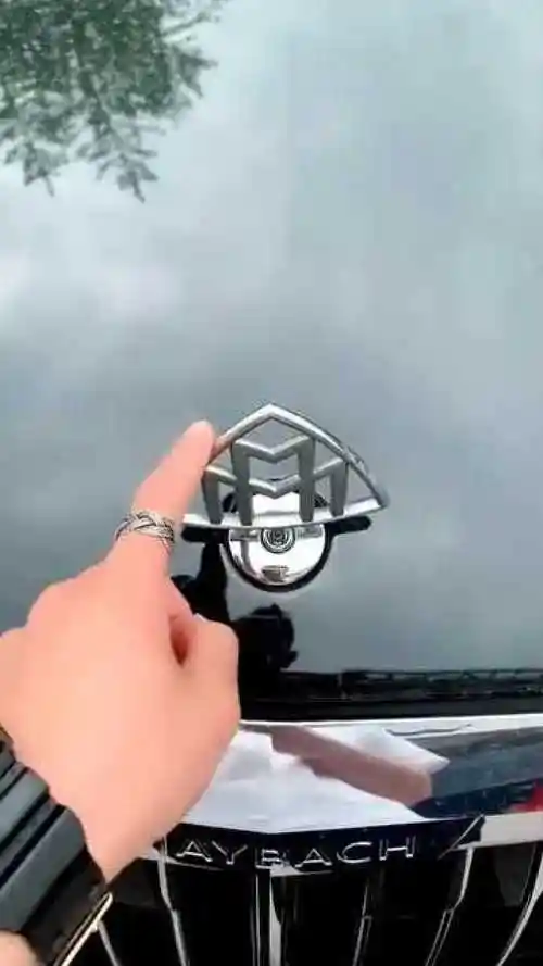 这两个m是什么车看着不像大众啊