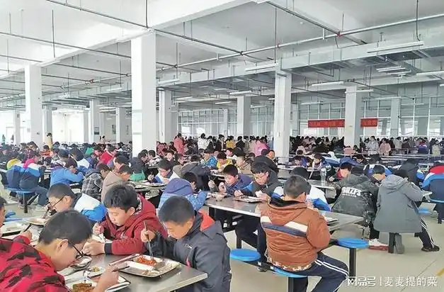 送的是无奈邵东一中学食堂饭菜里有头发与老鼠屎家长排队送饭