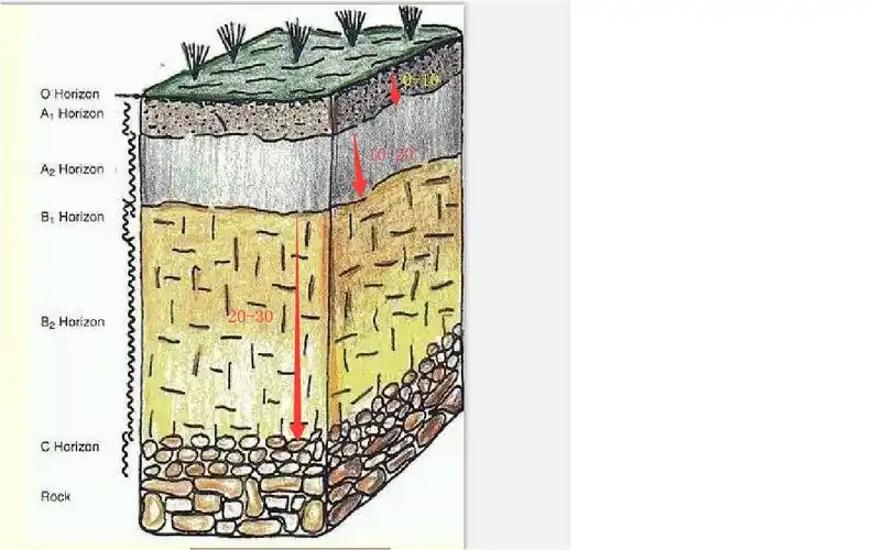 实现土壤分层剖面图