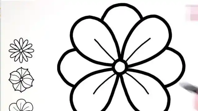 5种小花朵的简易画法,一起来涂上漂亮的颜色吧