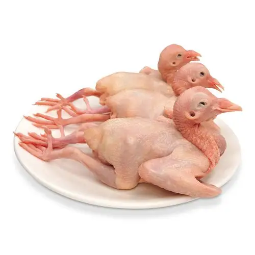 温氏供港乳鸽750g3只鸽子肉土鸽子卤鸽子烤鸽子供港高品质烧烤食材