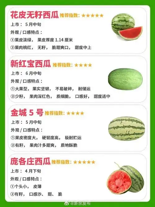 5斤#常见的西瓜品种及挑选技巧.