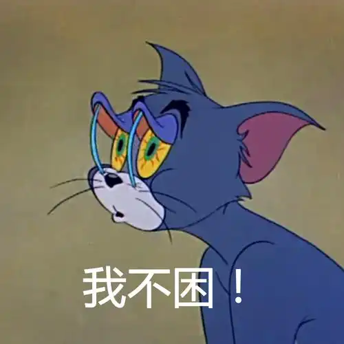 因为我现在就是用火柴棍支着眼皮在写这一段.你感受到我的心酸了没?