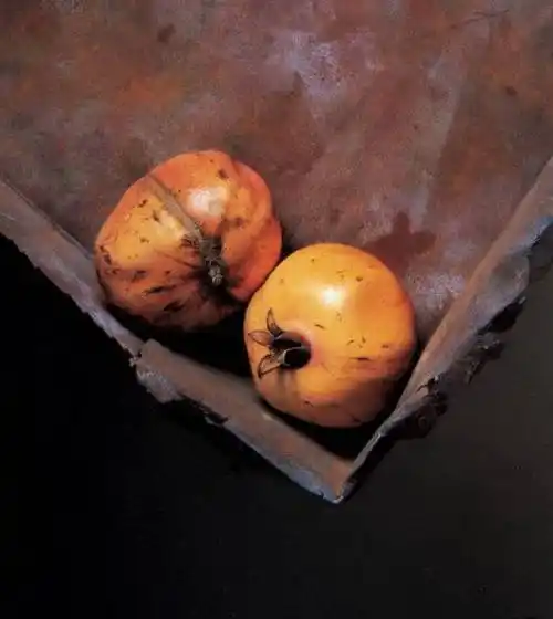 冷军写实油画作品欣赏