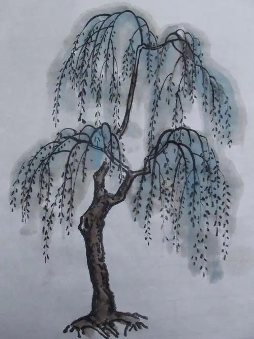 少儿学山水画教程之三柳树的画法