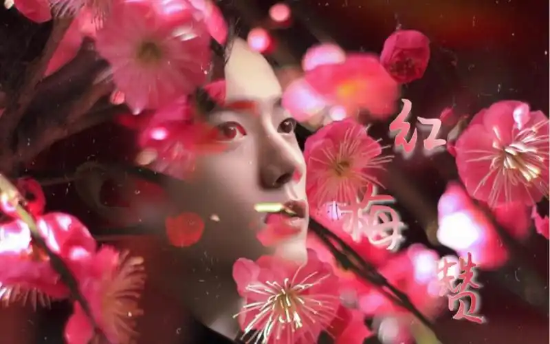 肖战【红梅赞】年代感自制mv