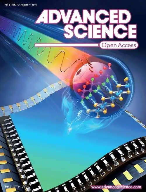 advsci论文封面设计