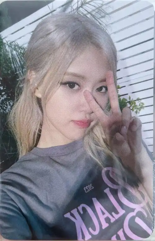 沙仑玫瑰朴彩英##朴彩英清爽初恋