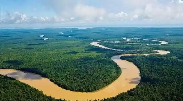 印尼加里曼丹岛——戈氏金丝燕的故乡