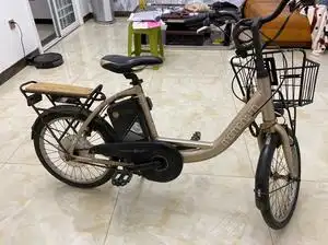 捷安特,莫曼顿～锂电电动自行车.48伏锂电,正常骑,现在冲一