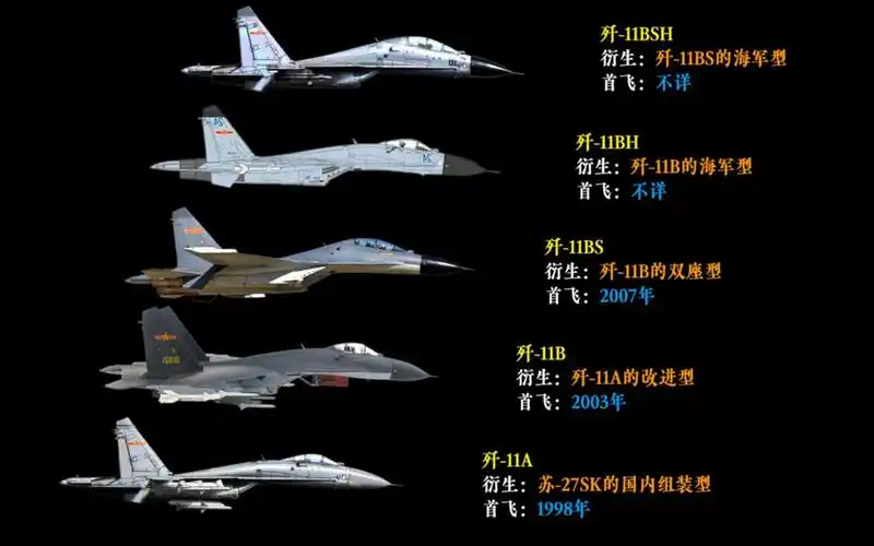 最强"侧卫":我国"侧卫"家族型号发展历程(歼11,歼15,歼16)!