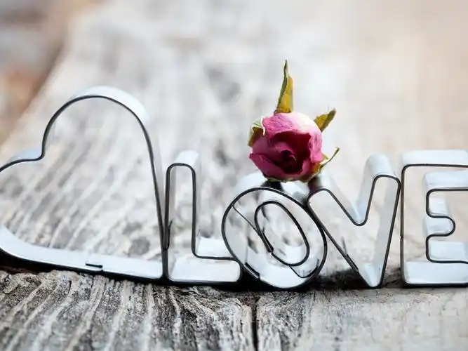 下载壁纸 1920x1440 金属爱,玫瑰 桌面背景