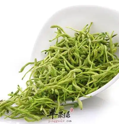 金银花的功效与作用(金银花的功效与作用与主治)