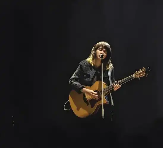 歌手2024第二期歌单:外籍歌手依然来势汹汹,那英可否夺第一