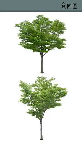 植物立面ps素材专辑