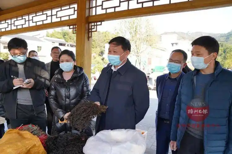 肖毅书记来到灵谷峰!_抚州