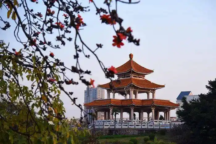 顺德年镇街魅吃喝玩乐这么多在陈村过年绝对不亏