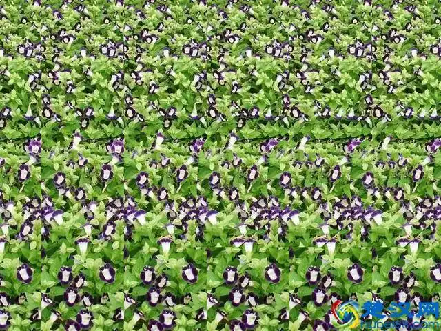 三维立体图怎么看 简单(入门三维立体图软件)