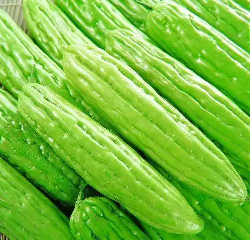 苦瓜富含粗纤维维生素c,钙铁等营养元素,具有清热消暑,养血益气,补脾