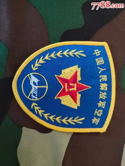 87空军臂章