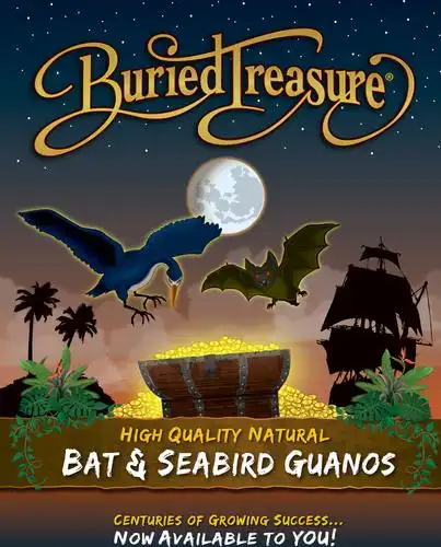 960810 buried treasure