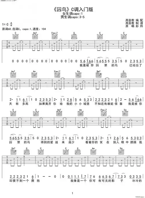 囚鸟 抖音热曲 c调入门版(吉他谱)1