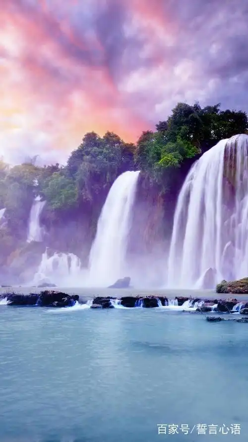 500_889竖版 竖屏