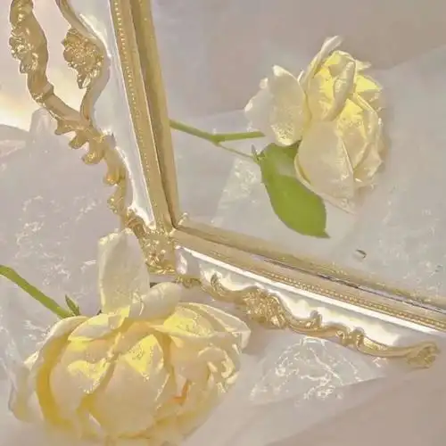 ins超火玫瑰花背景图(ins超火玫瑰花背景图动漫)