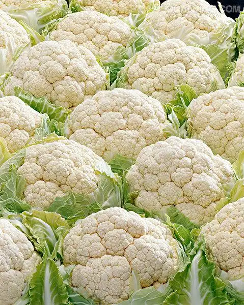 花椰菜图片_图片大全